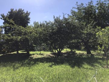 place photo 39