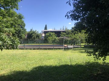 place photo 33