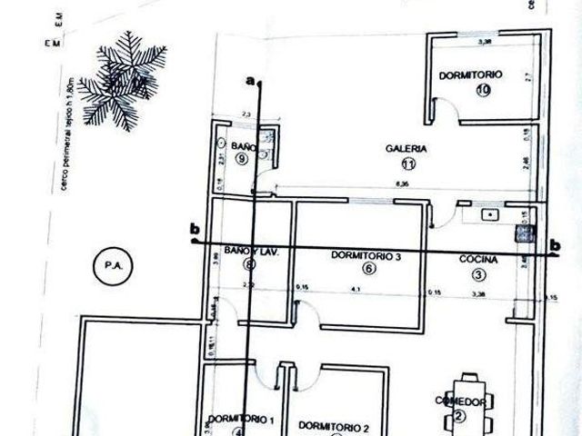 place photo 19