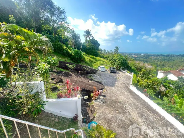 place photo 32