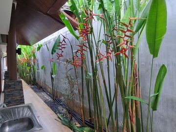 place photo 47