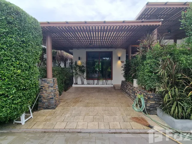 place photo 61