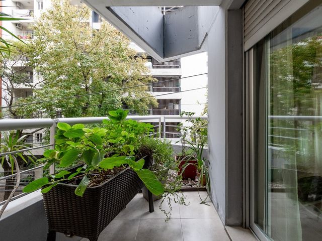 place photo 45