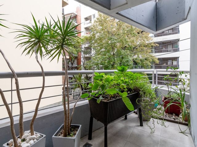 place photo 46