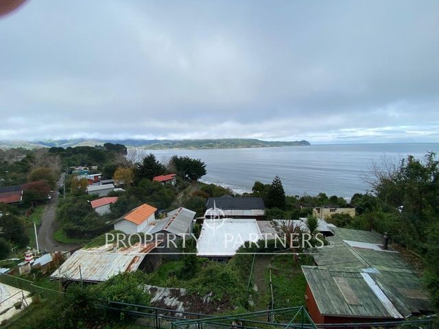 place photo 40