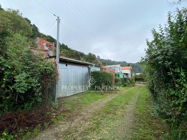 place photo 38