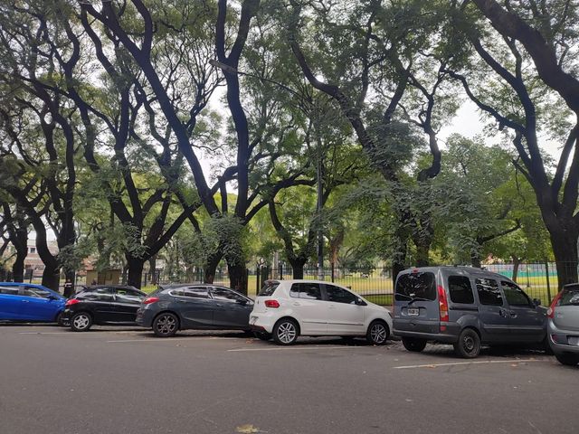 place photo 12
