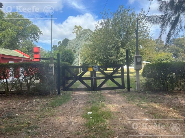 place photo 30
