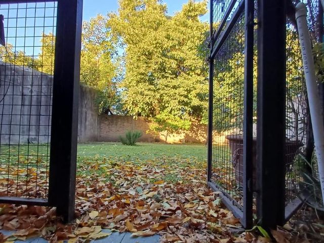 place photo 18