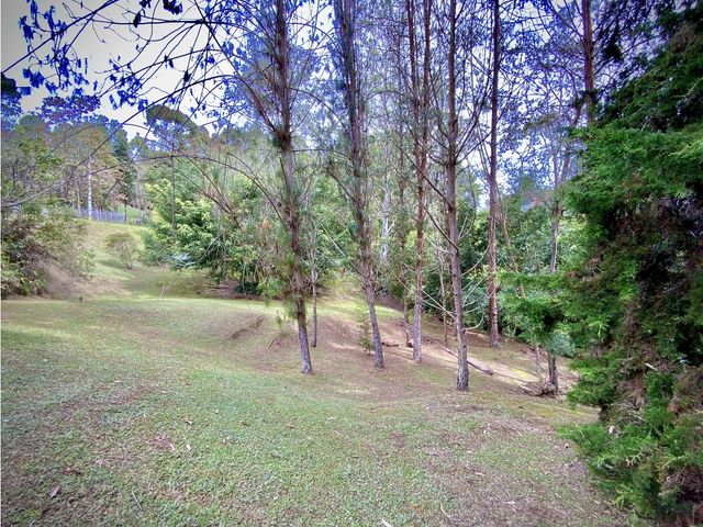 place photo 62