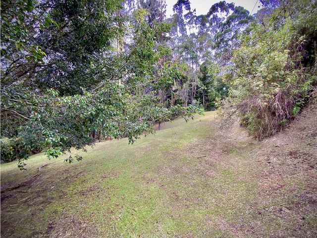 place photo 57