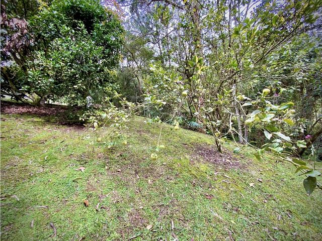 place photo 61