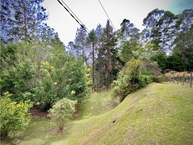 place photo 64