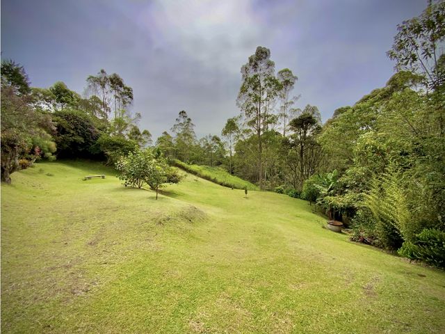 place photo 48