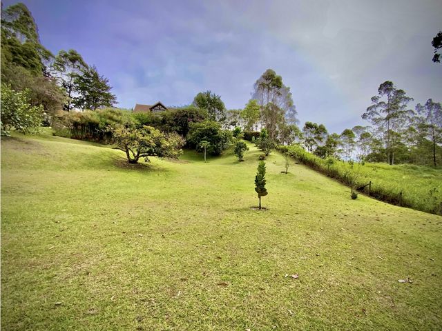 place photo 52