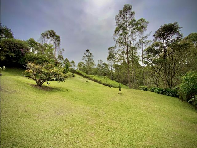 place photo 50