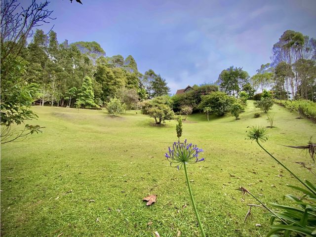 place photo 54