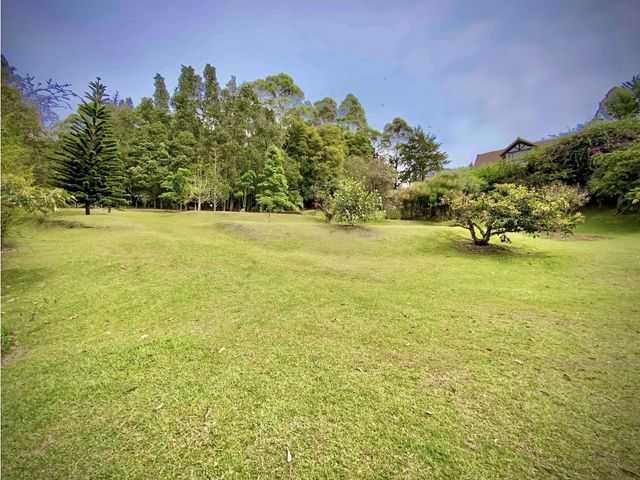 place photo 51