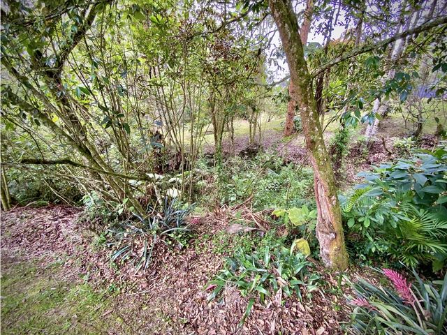 place photo 65