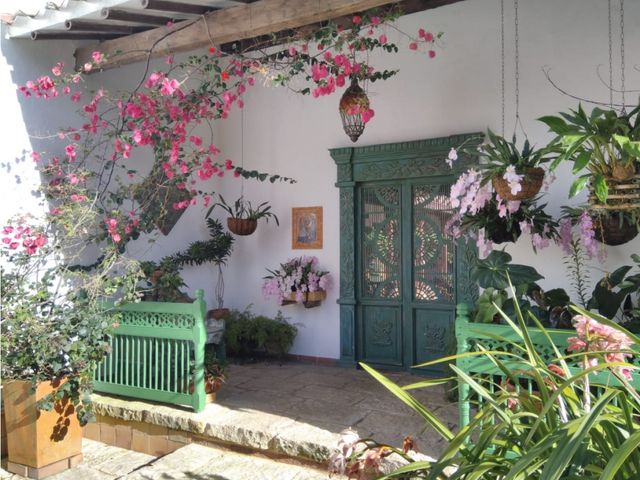place photo 23