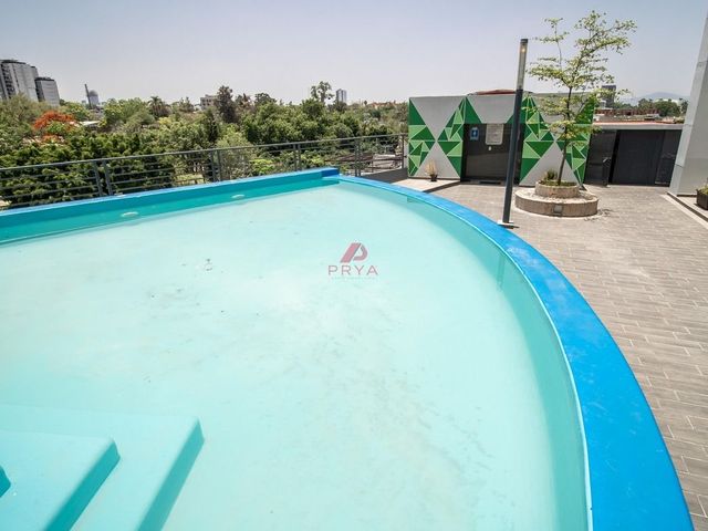 place photo 26