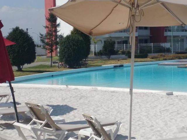 place photo 36