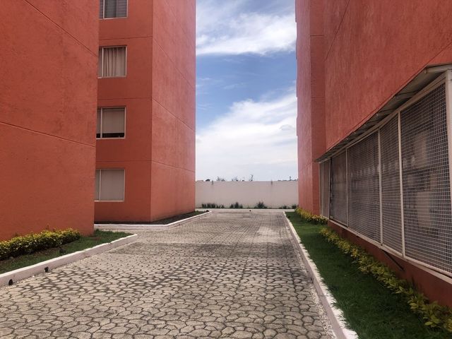 place photo 41