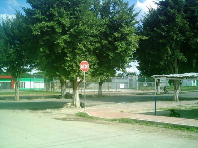 place photo 2