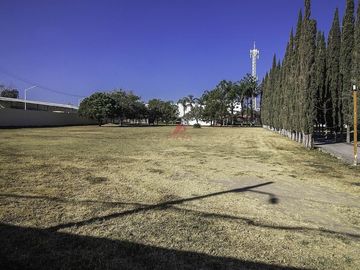 place photo 40