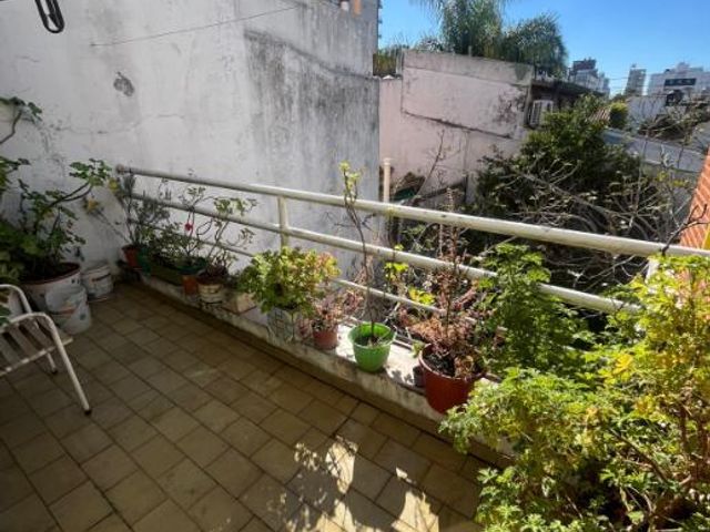 place photo 15