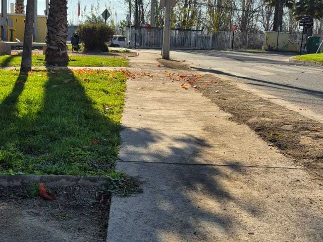 place photo 22