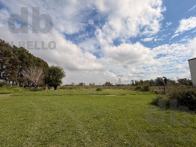 place photo 17