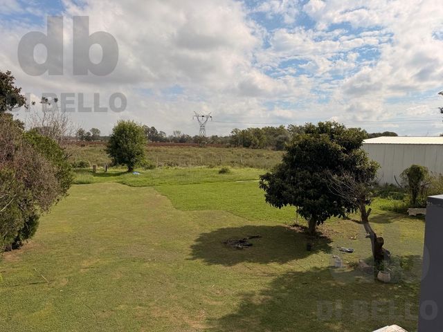 place photo 16