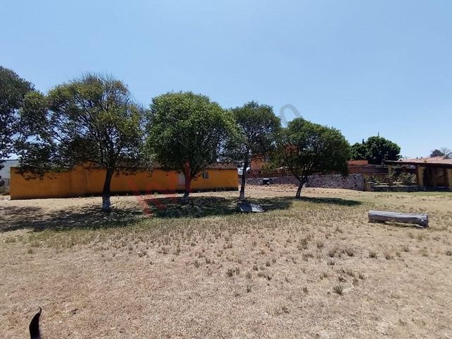 place photo 54