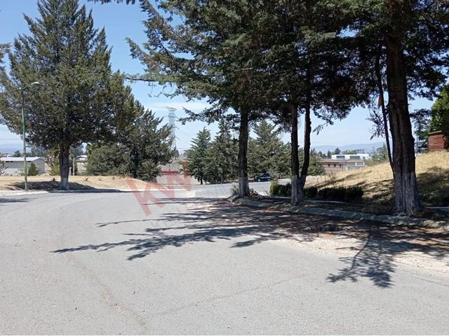 place photo 42