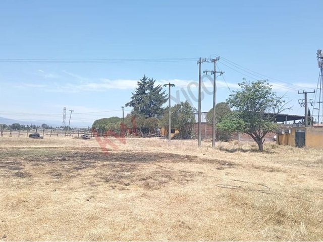 place photo 47