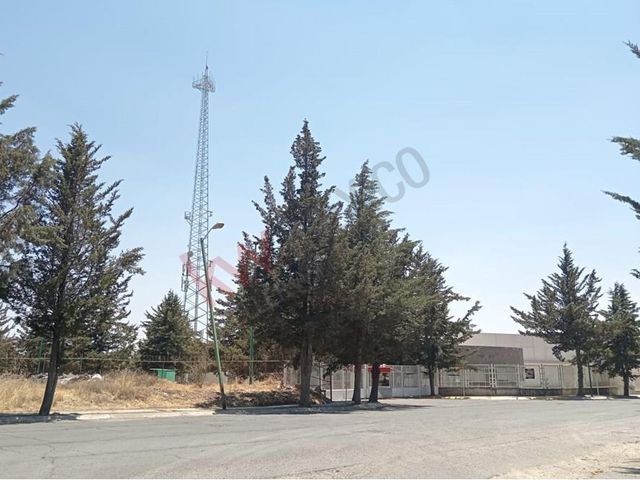 place photo 38