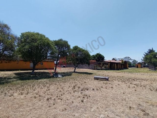 place photo 46