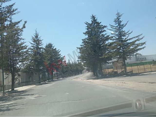 place photo 37