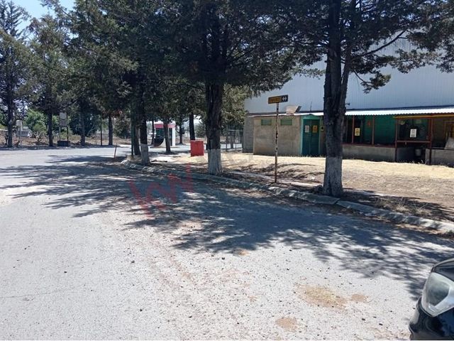 place photo 44