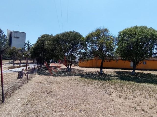 place photo 48