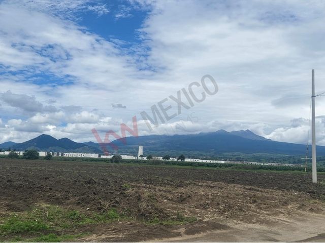 place photo 39