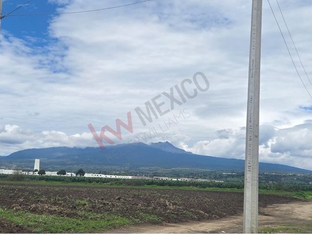 place photo 38