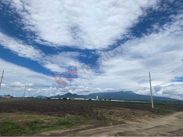 place photo 48
