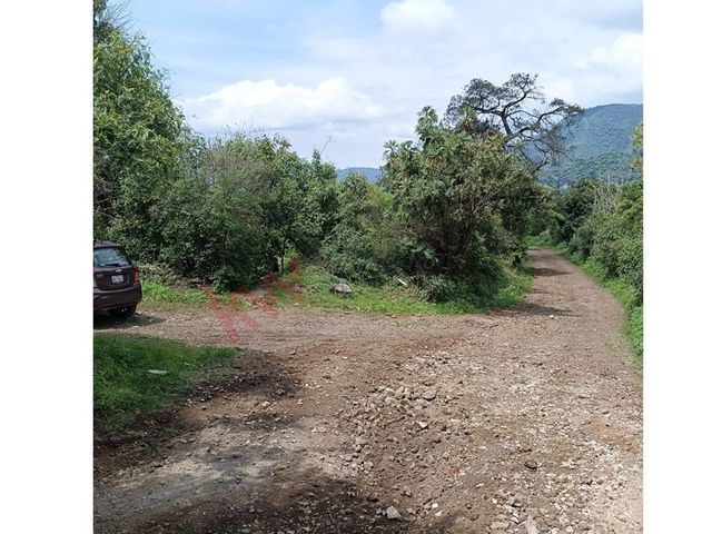 place photo 45
