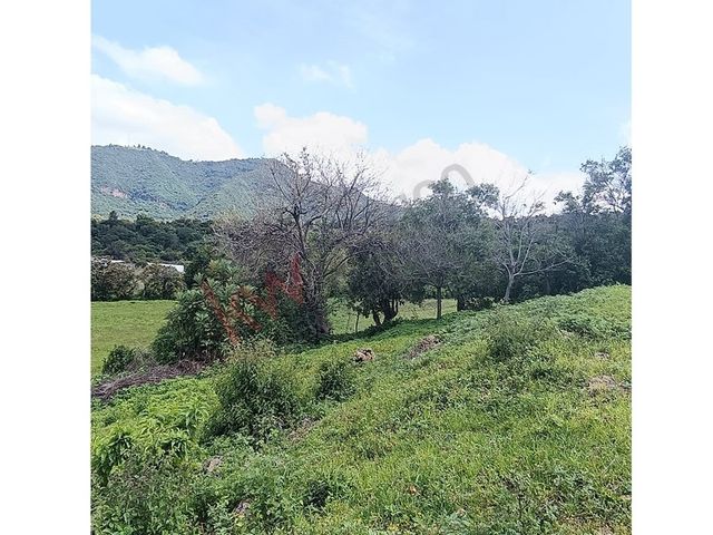 place photo 41