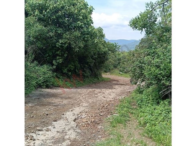 place photo 26
