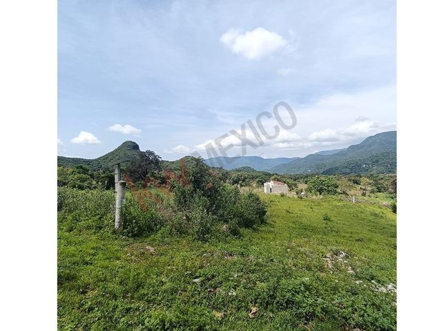 place photo 40