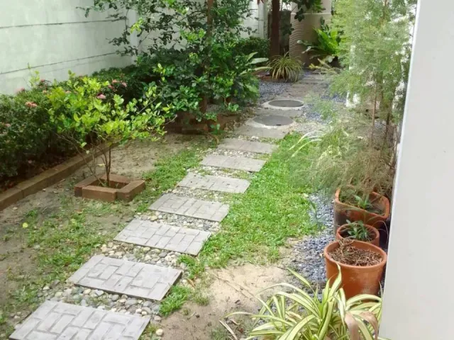 place photo 18
