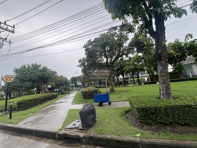 place photo 40